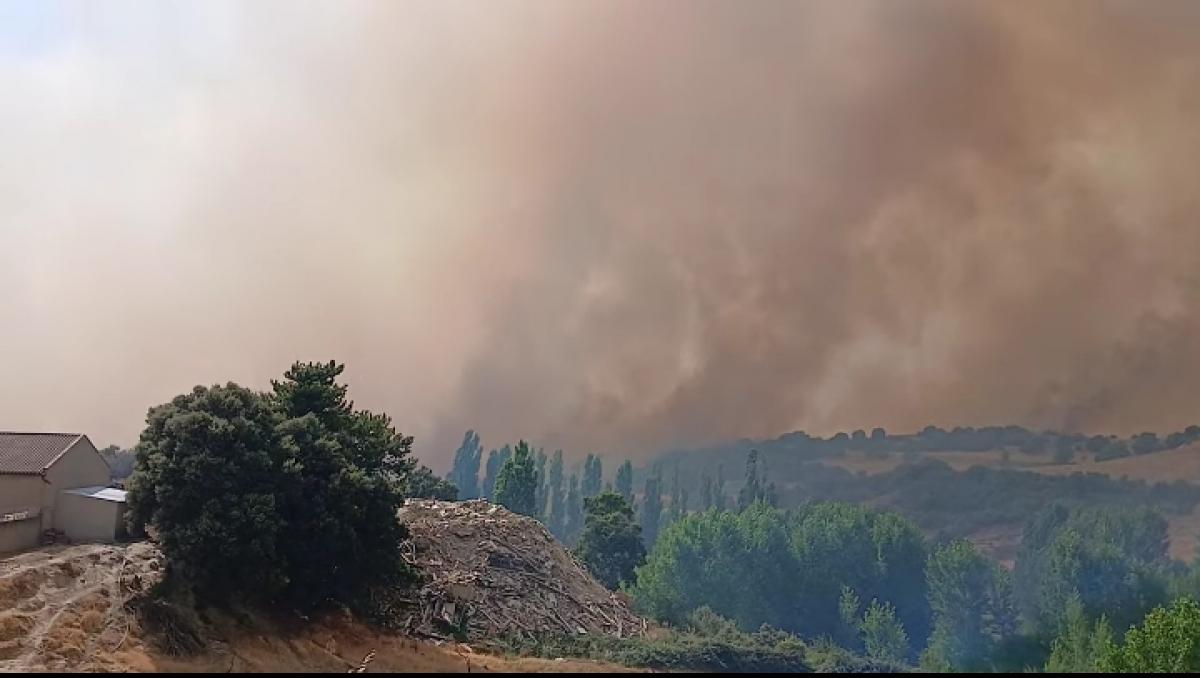 Incendios forestales DGA. Sin avances, movilización