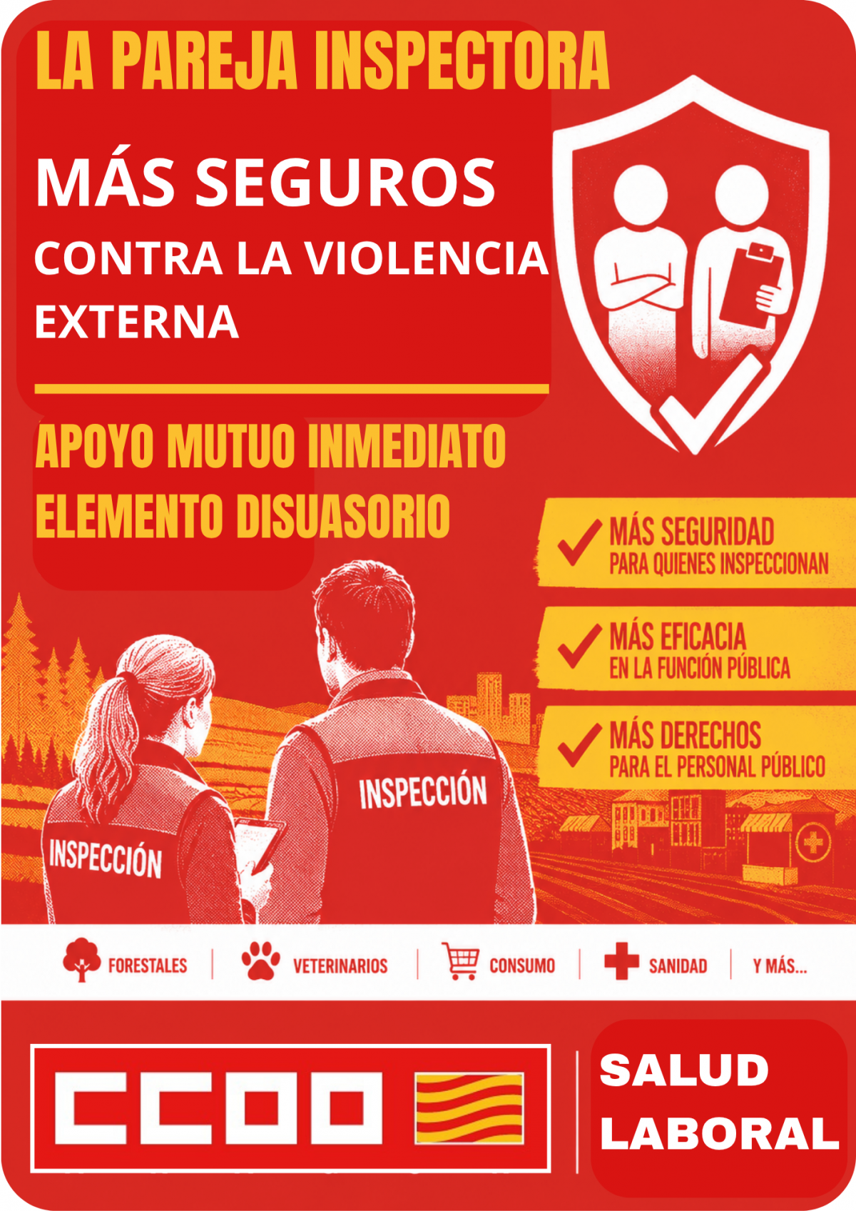 CCOO propone la PAREJA INSPECTORA (propuesta de origen en 2016).