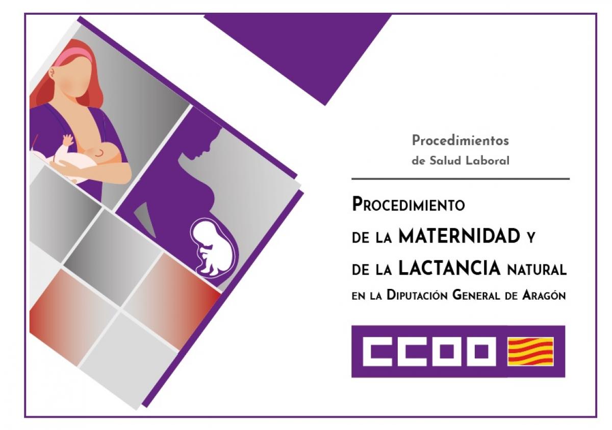 Protocolo de Proteccin de la Maternidad y Lactancia de la Mujer en el trabajo