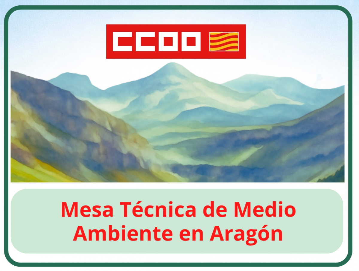 CCOO negocia en la Mesa Técnica de Medio Ambiente del Gobierno de Aragón.